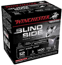 Blind side Winchester